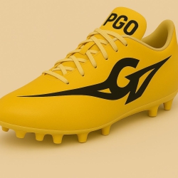 PGO